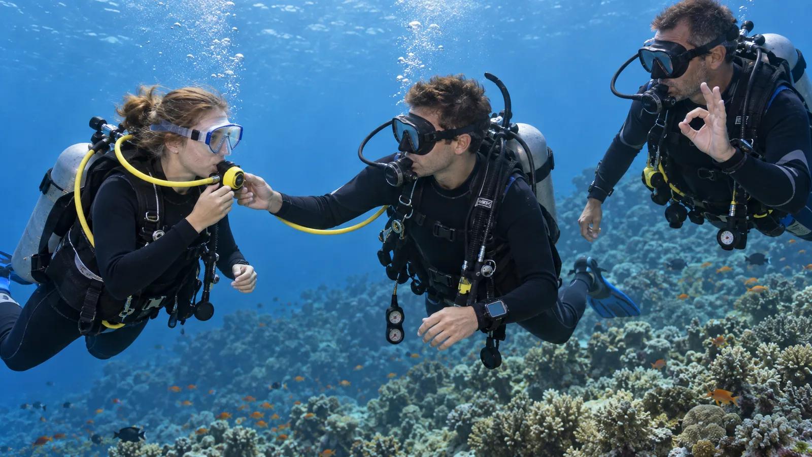 BSAC Ocean Diver