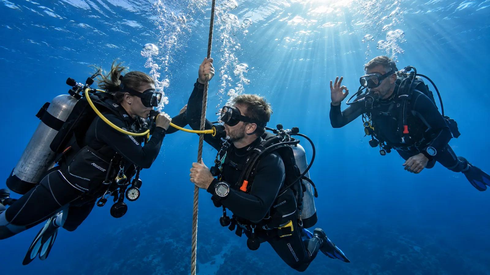 BSAC Sports Diver - photo 2
