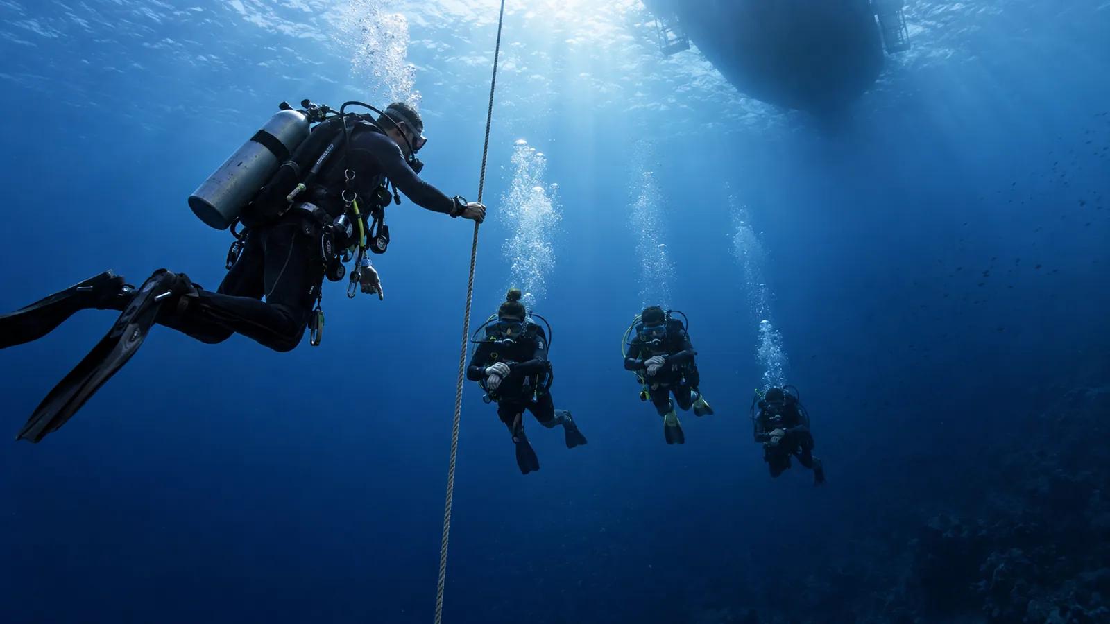 Deep Diver Specialty - photo 3